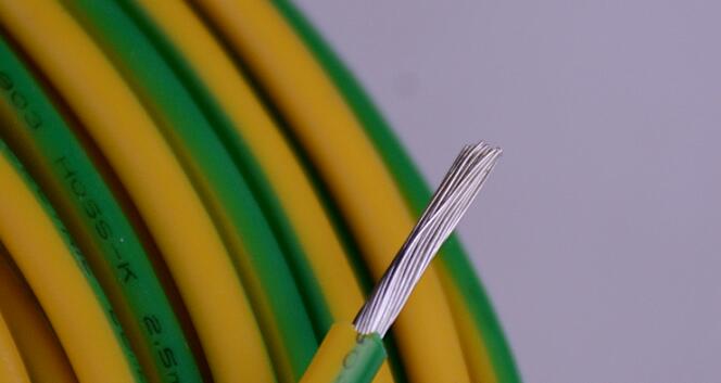 1-1P31ZTF4628 µçÏßµçÀÂÐÐÒµÉú³¤Ì¬ÊÆ