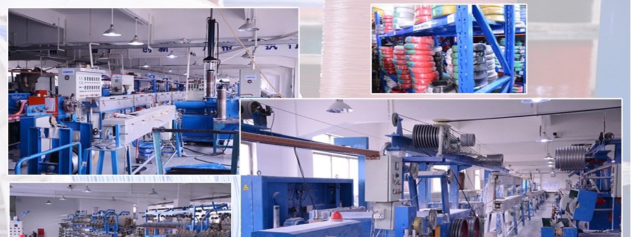 1-1P411114552139 工厂情形形貌1