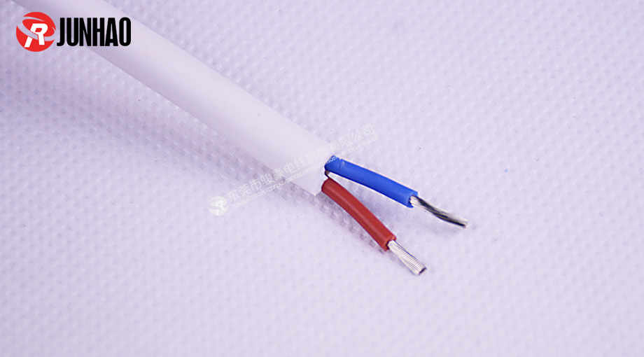 1-1P91Q40F5643 Ä͸ßΰ×É«¶þ²åµçÔ´Ïß²úƷͼ