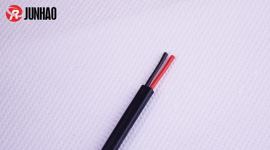 1-1Q025091GH19 black 2 core flat cable