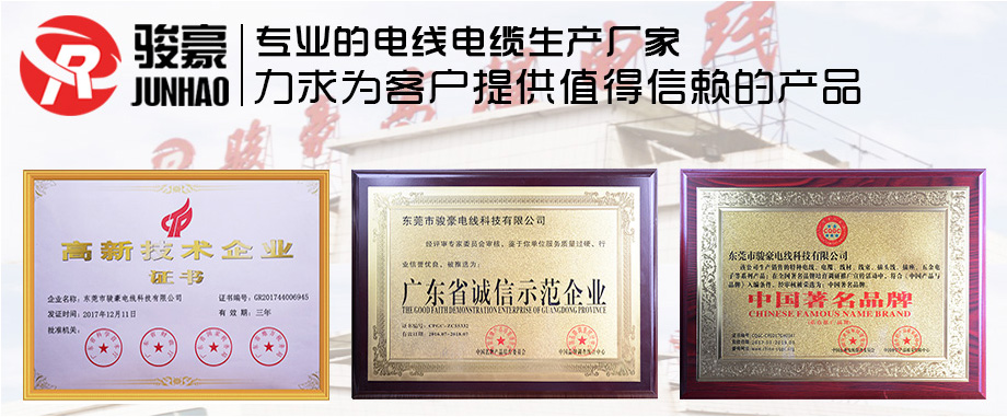 1-1Z110100312V9 µÂÓ®VWINµçÏßÉùÓþ