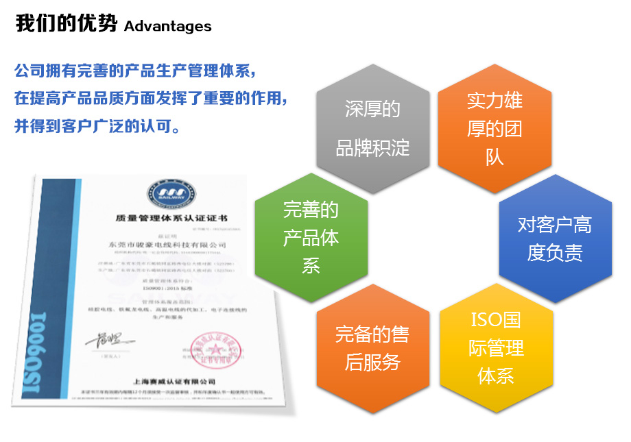 1-1Z110100943E4 µÂÓ®VWINµçÏßµÄÓÅÊÆ