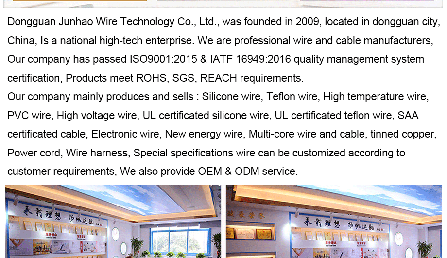 1-1Z31410105b28 company profile